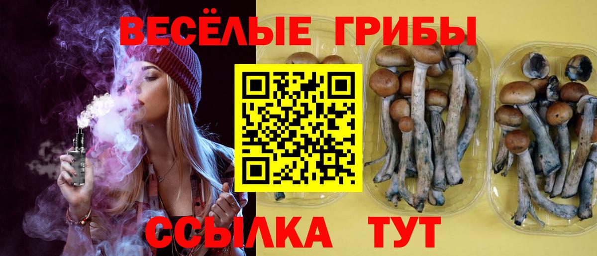 Галлюциногенные грибы мицелий Горячий Ключ
